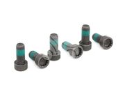 Болт маховика TZZ1003