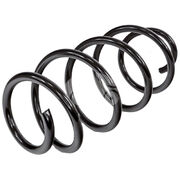 Пружина подвески XAS1003